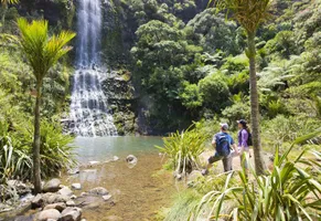 Umgebung bei Auckland, Neuseeland