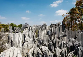 Yunnan Steinwald, China Reise