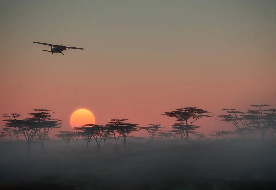 Flug über die Savanne