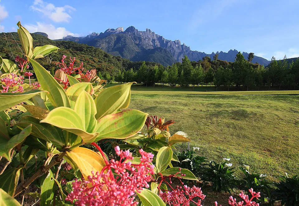 Kinabalu Nationalpark, Borneo