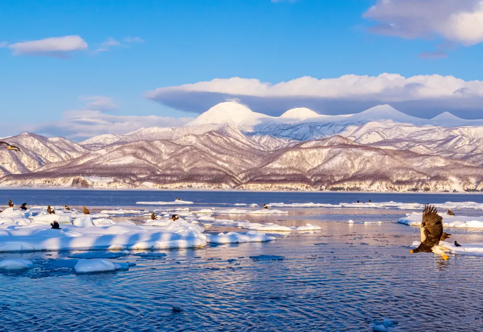 Winterlandschaft in Hokkaido