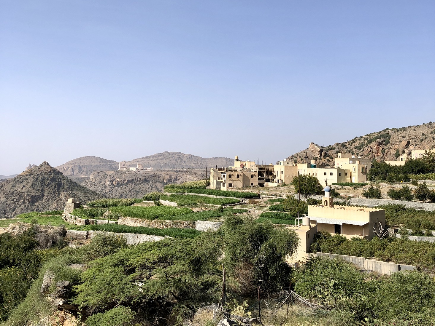 Terrassenfelder Jabal Shams